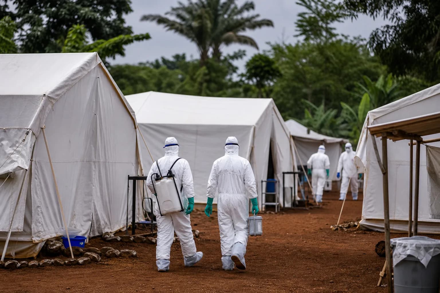 Imagem ilustrativa da reportagem: Ebola por Bundibugyo avança na RDC e põe vacinas à prova